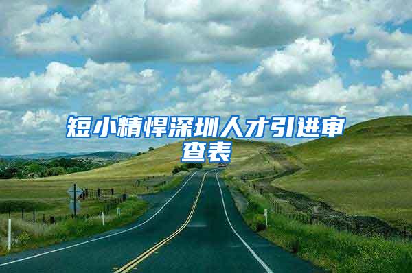 短小精悍深圳人才引进审查表
