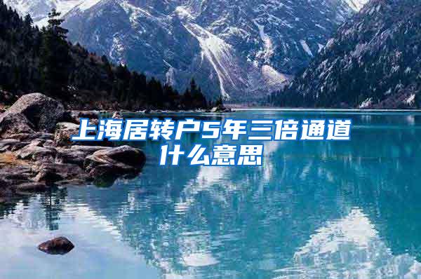上海居转户5年三倍通道什么意思