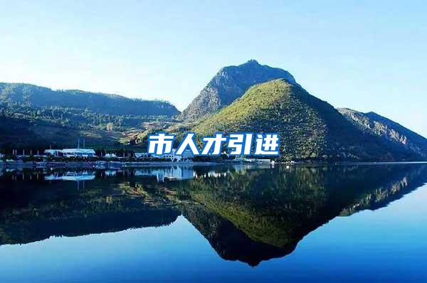 市人才引进