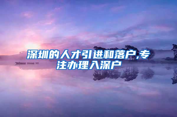 深圳的人才引进和落户,专注办理入深户