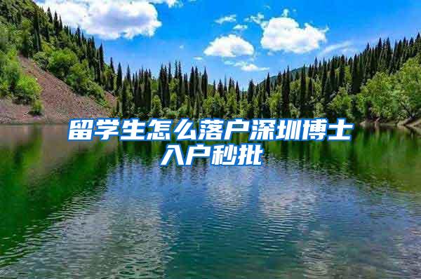留学生怎么落户深圳博士入户秒批