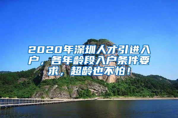 2020年深圳人才引进入户，各年龄段入户条件要求，超龄也不怕！