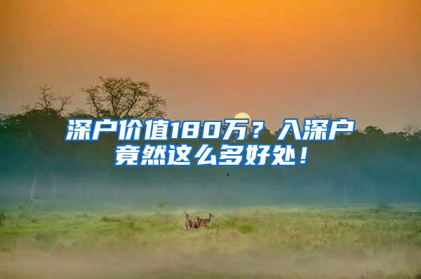 深户价值180万？入深户竟然这么多好处！