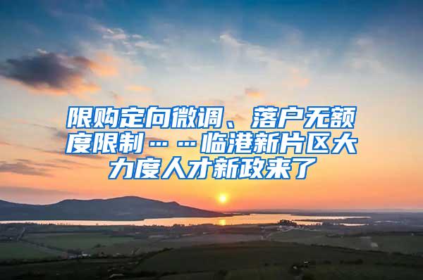 限购定向微调、落户无额度限制……临港新片区大力度人才新政来了