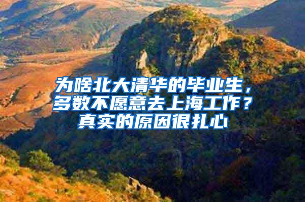 为啥北大清华的毕业生，多数不愿意去上海工作？真实的原因很扎心