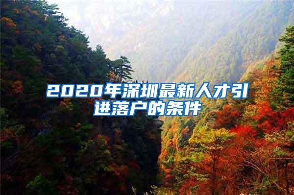 2020年深圳最新人才引进落户的条件