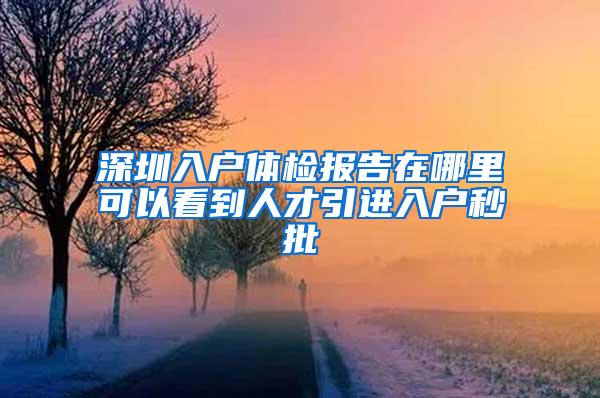 深圳入户体检报告在哪里可以看到人才引进入户秒批