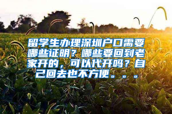 留学生办理深圳户口需要哪些证明？哪些要回到老家开的，可以代开吗？自己回去也不方便。。。