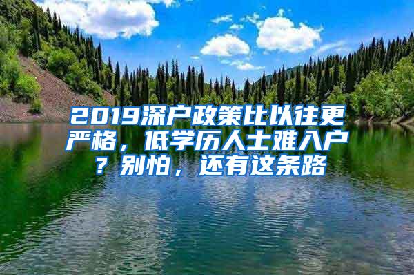 2019深户政策比以往更严格，低学历人士难入户？别怕，还有这条路