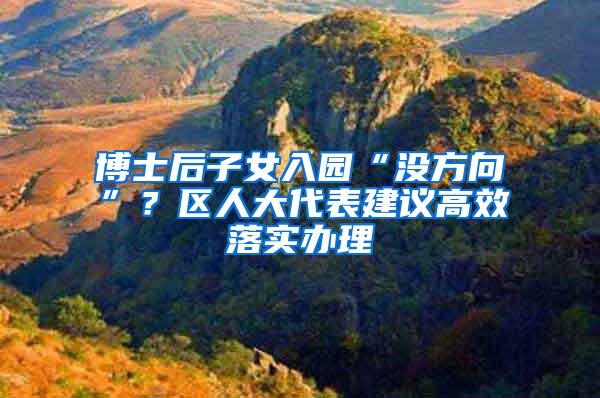 博士后子女入园“没方向”？区人大代表建议高效落实办理