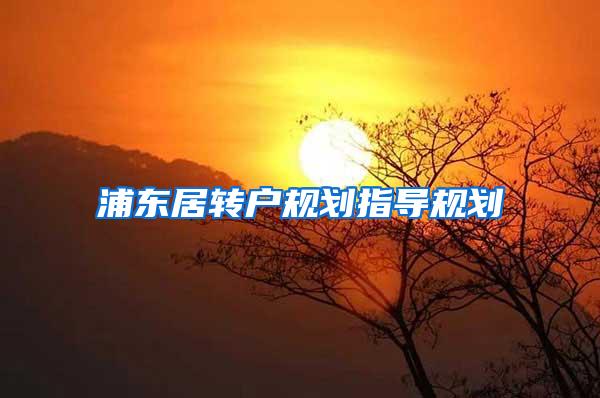 浦东居转户规划指导规划