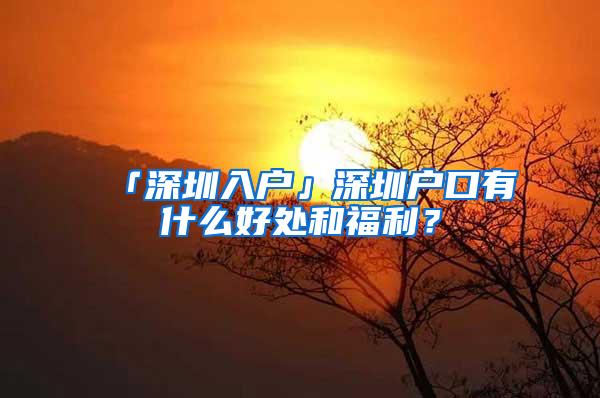 「深圳入户」深圳户口有什么好处和福利？