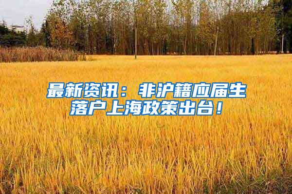 最新资讯：非沪籍应届生落户上海政策出台！