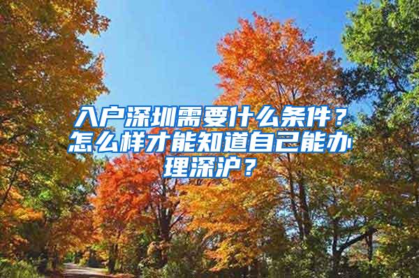 入户深圳需要什么条件？怎么样才能知道自己能办理深沪？