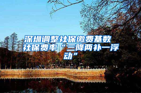 深圳调整社保缴费基数 社保费率“三降两补一浮动”