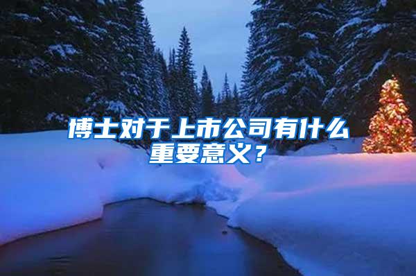 博士对于上市公司有什么重要意义？