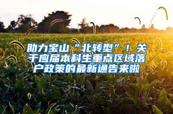 助力宝山“北转型”！关于应届本科生重点区域落户政策的最新通告来啦