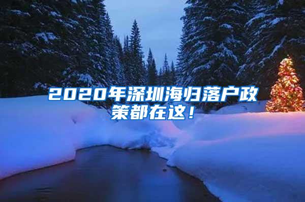 2020年深圳海归落户政策都在这！