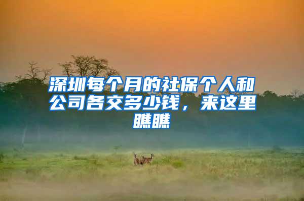 深圳每个月的社保个人和公司各交多少钱，来这里瞧瞧