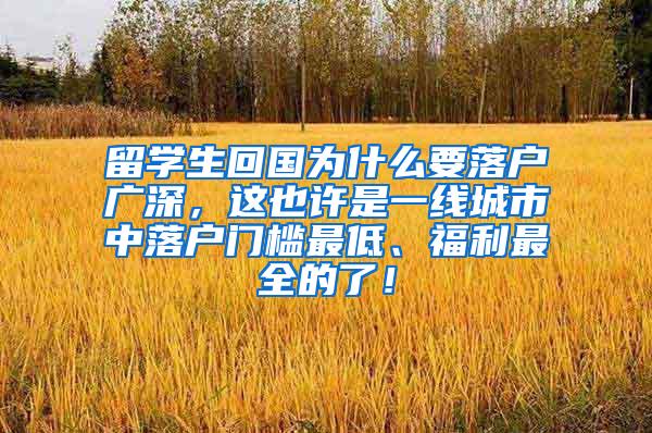 留学生回国为什么要落户广深，这也许是一线城市中落户门槛最低、福利最全的了！