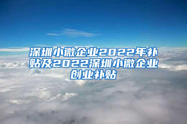 深圳小微企业2022年补贴及2022深圳小微企业创业补贴