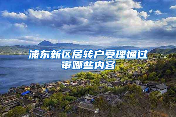 浦东新区居转户受理通过审哪些内容