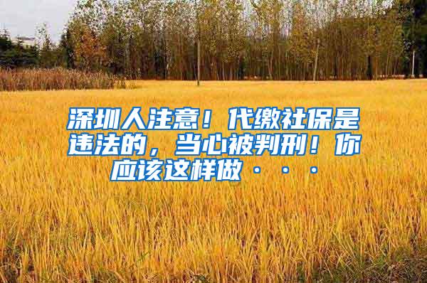 深圳人注意！代缴社保是违法的，当心被判刑！你应该这样做···