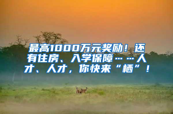 最高1000万元奖励！还有住房、入学保障……人才、人才，你快来“栖”！