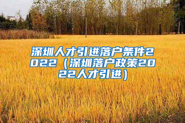深圳人才引进落户条件2022（深圳落户政策2022人才引进）
