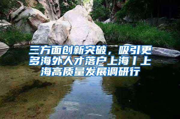 三方面创新突破，吸引更多海外人才落户上海丨上海高质量发展调研行