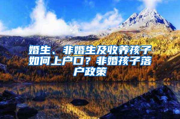 婚生、非婚生及收养孩子如何上户口？非婚孩子落户政策