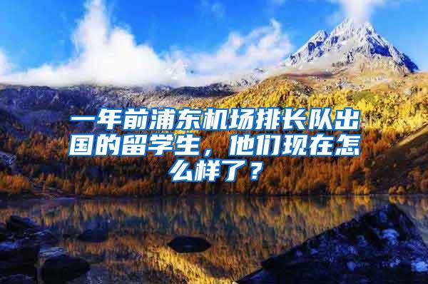 一年前浦东机场排长队出国的留学生，他们现在怎么样了？