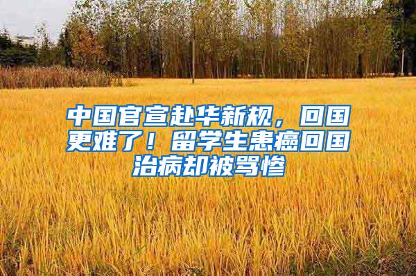 中国官宣赴华新规，回国更难了！留学生患癌回国治病却被骂惨
