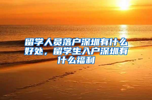留学人员落户深圳有什么好处，留学生入户深圳有什么福利