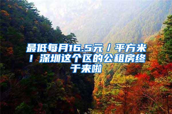 最低每月16.5元／平方米！深圳这个区的公租房终于来啦