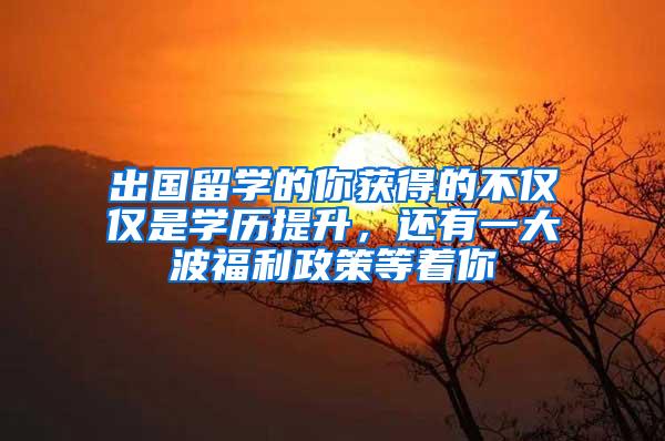 出国留学的你获得的不仅仅是学历提升，还有一大波福利政策等着你