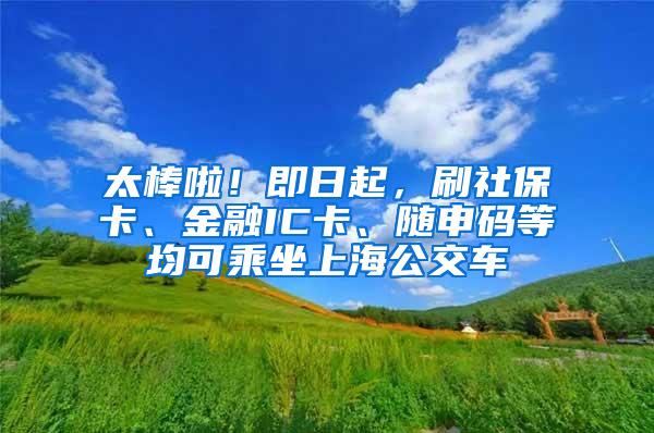 太棒啦！即日起，刷社保卡、金融IC卡、随申码等均可乘坐上海公交车