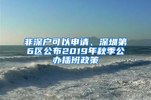 非深户可以申请、深圳第6区公布2019年秋季公办插班政策