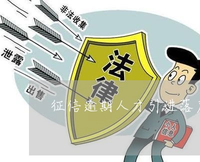 征信逾期人才引进落户深圳