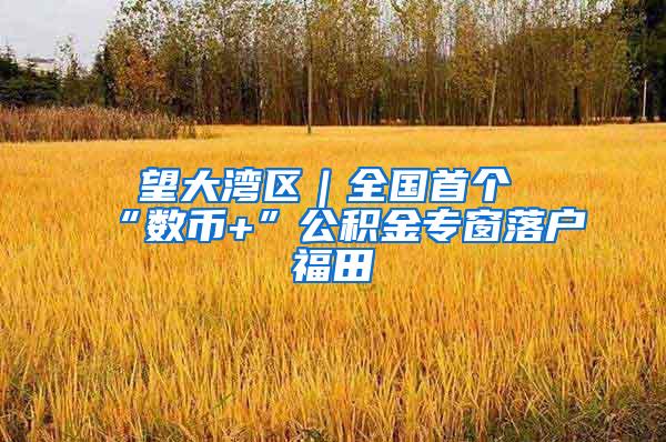 瞭望大湾区｜全国首个“数币+”公积金专窗落户福田