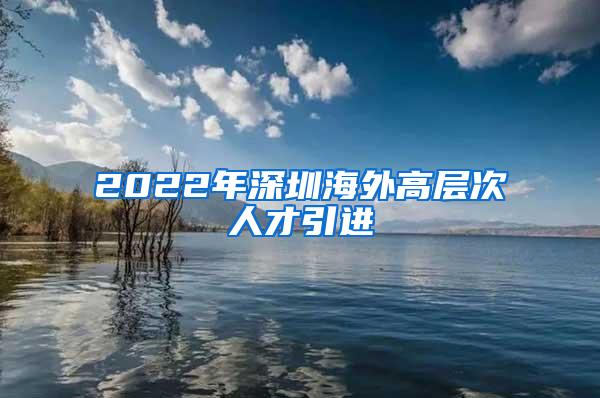 2022年深圳海外高层次人才引进