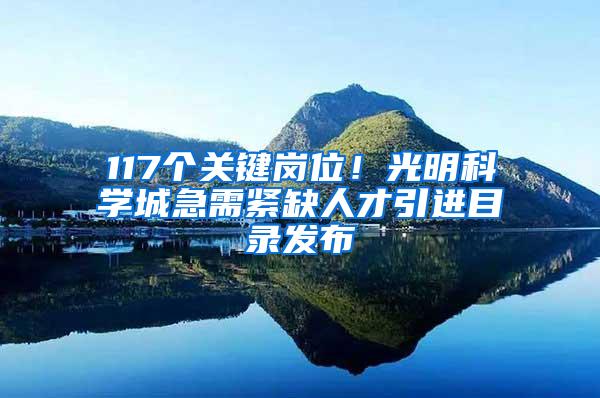 117个关键岗位！光明科学城急需紧缺人才引进目录发布