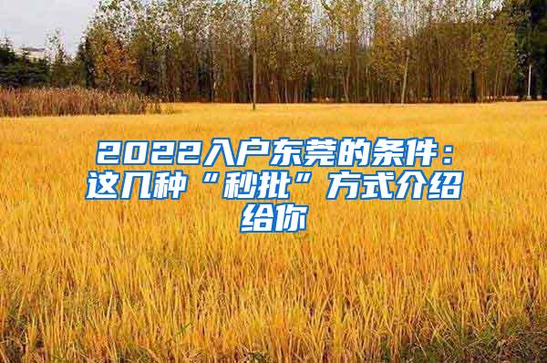 2022入户东莞的条件：这几种“秒批”方式介绍给你