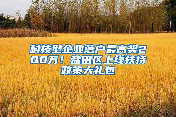 科技型企业落户最高奖200万！盐田区上线扶持政策大礼包