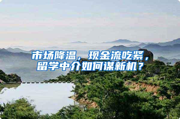 市场降温，现金流吃紧，留学中介如何谋新机？