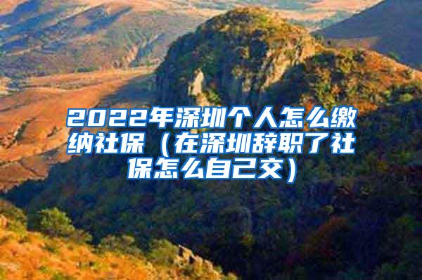2022年深圳个人怎么缴纳社保（在深圳辞职了社保怎么自己交）