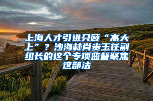 上海人才引进只顾“高大上”？沙海林肖贵玉任副组长的这个专项监督聚焦这部法