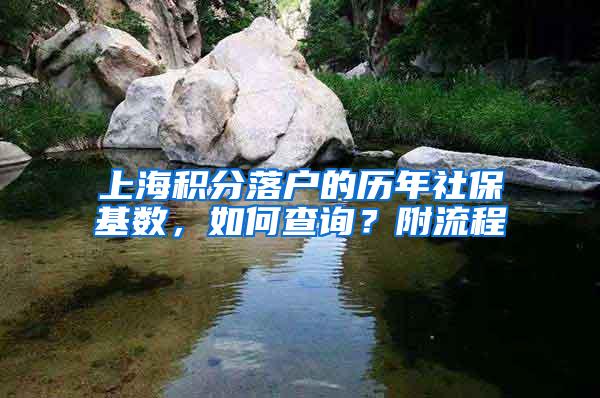 上海积分落户的历年社保基数，如何查询？附流程