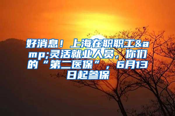 好消息！上海在职职工&灵活就业人员，你们的“第二医保”，6月13日起参保