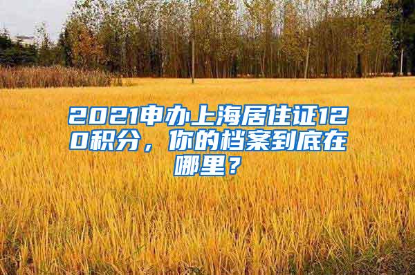 2021申办上海居住证120积分，你的档案到底在哪里？